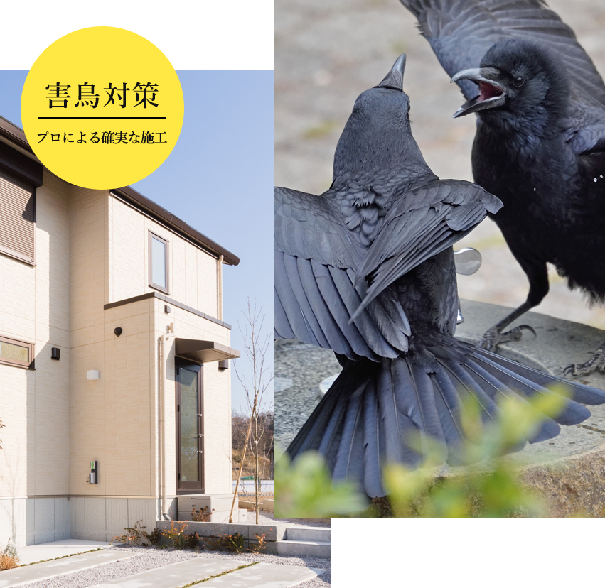 ウイルスや菌の消毒･害鳥対策サービスを大阪市からご提供